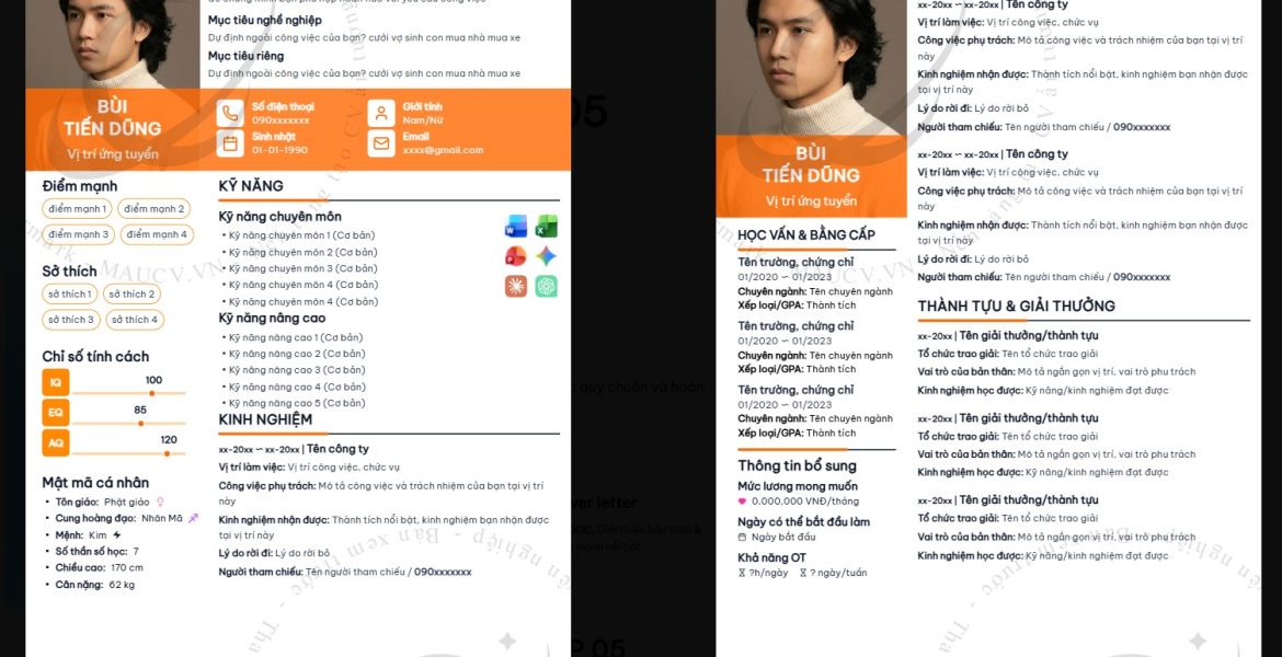 Các mẫu cv chuyên nghiệp