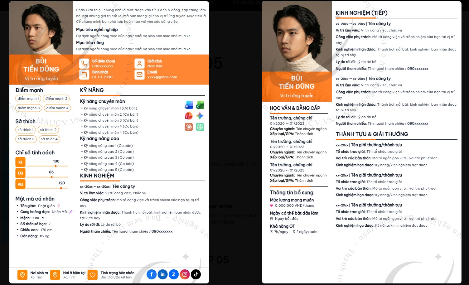 Các mẫu cv chuyên nghiệp